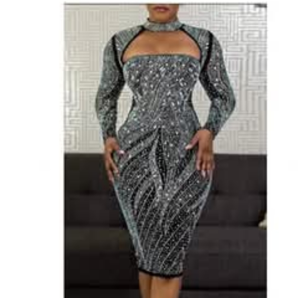 Elegant Black and Silver Women's Dress